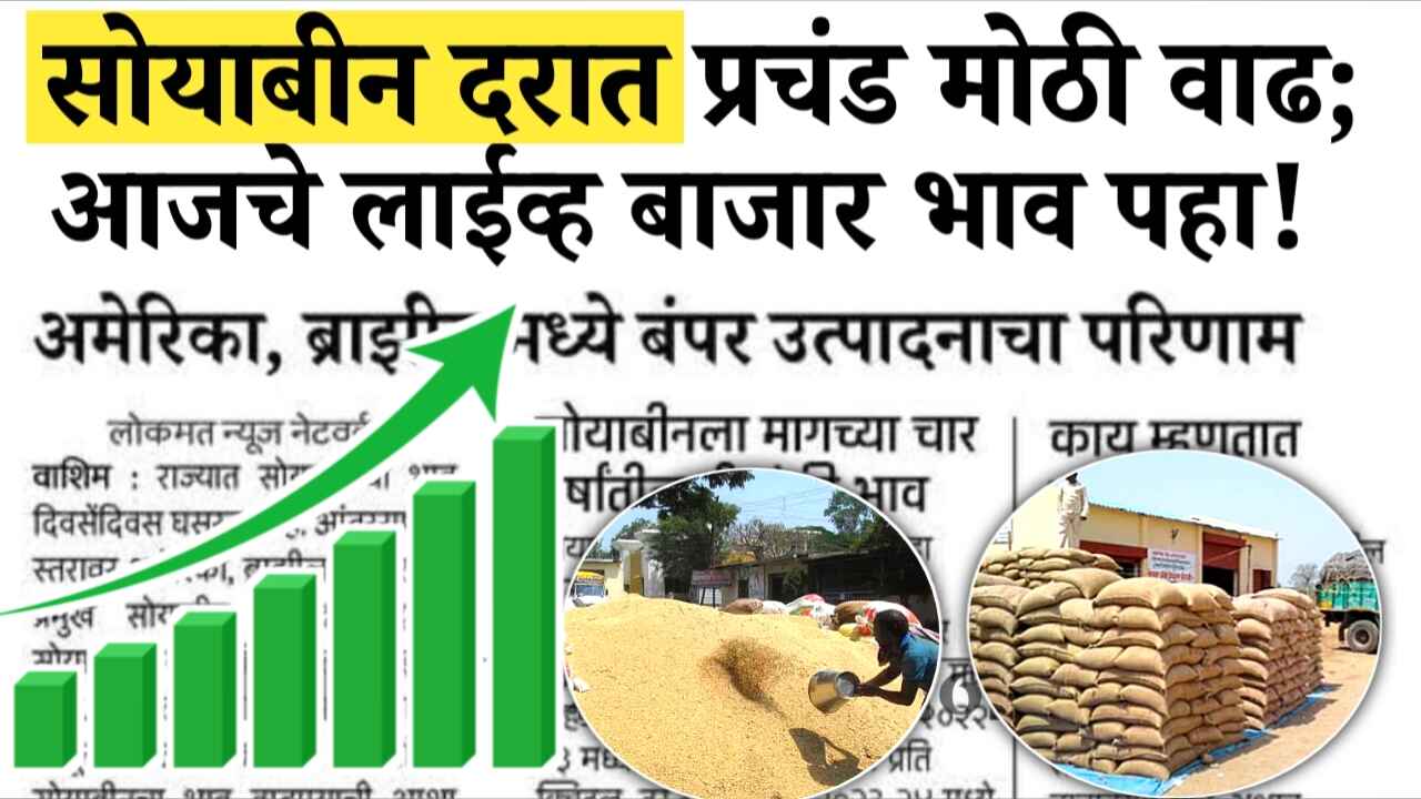 सोयाबीनच्या दरात मोठी वाढ; आजचे लाईव्ह बाजार भाव Soybean Rate Today