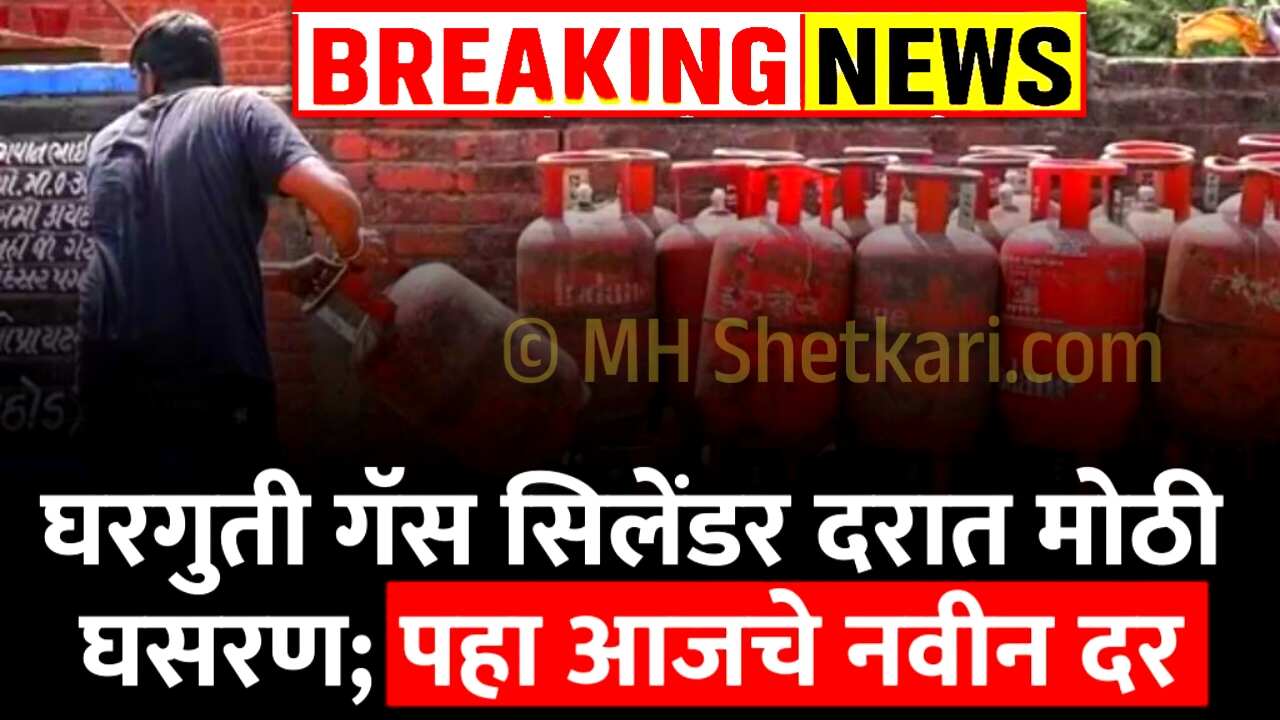 गॅस सिलेंडरच्या दरात मोठी घसरण; आज पासून नवीन दर लागू! येथे पहा LPG Gas Cylinder Price