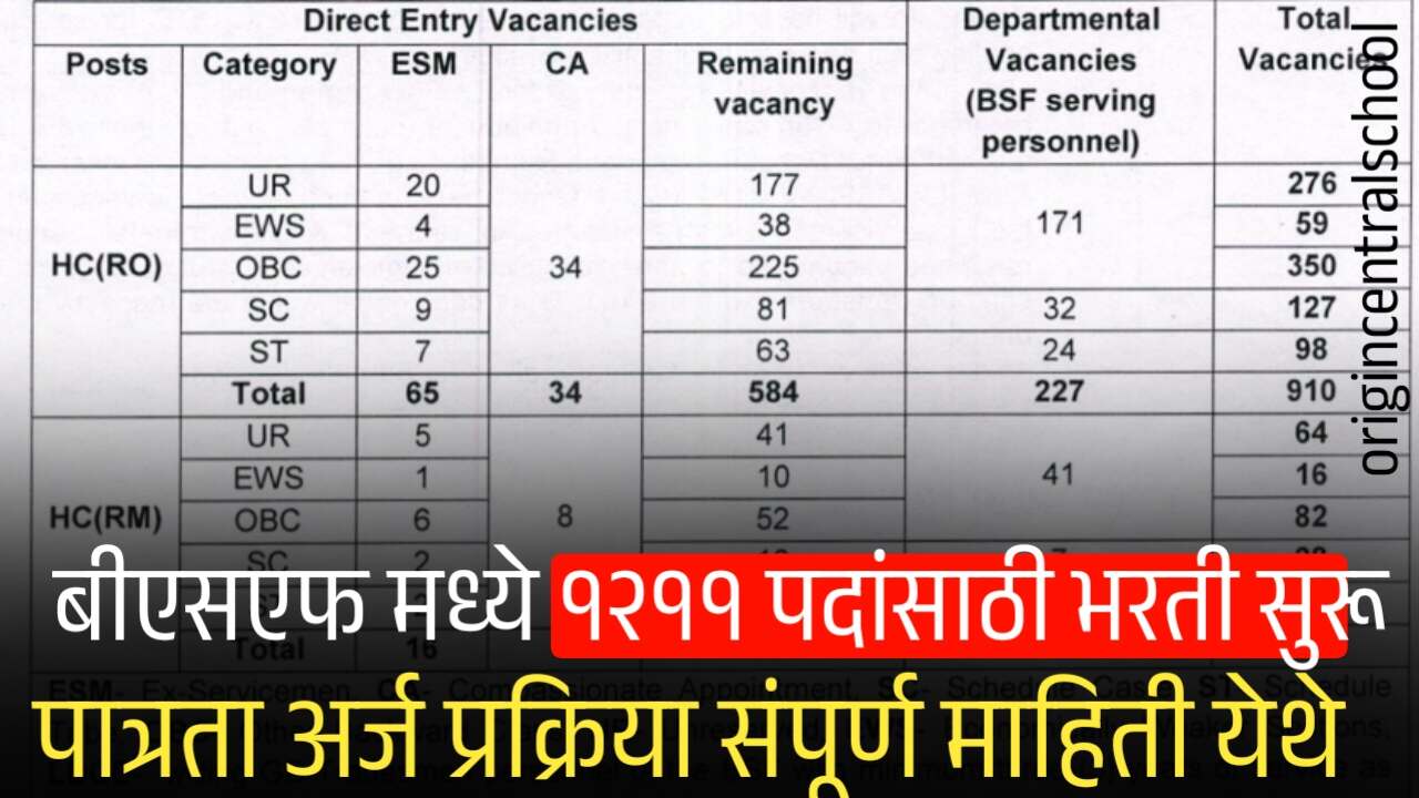 बीएसएफ मध्ये 10 वी पास उमेदवारांसाठी 1211 जागांची मोठी भरती सुरू! BSF Recruitment 2025