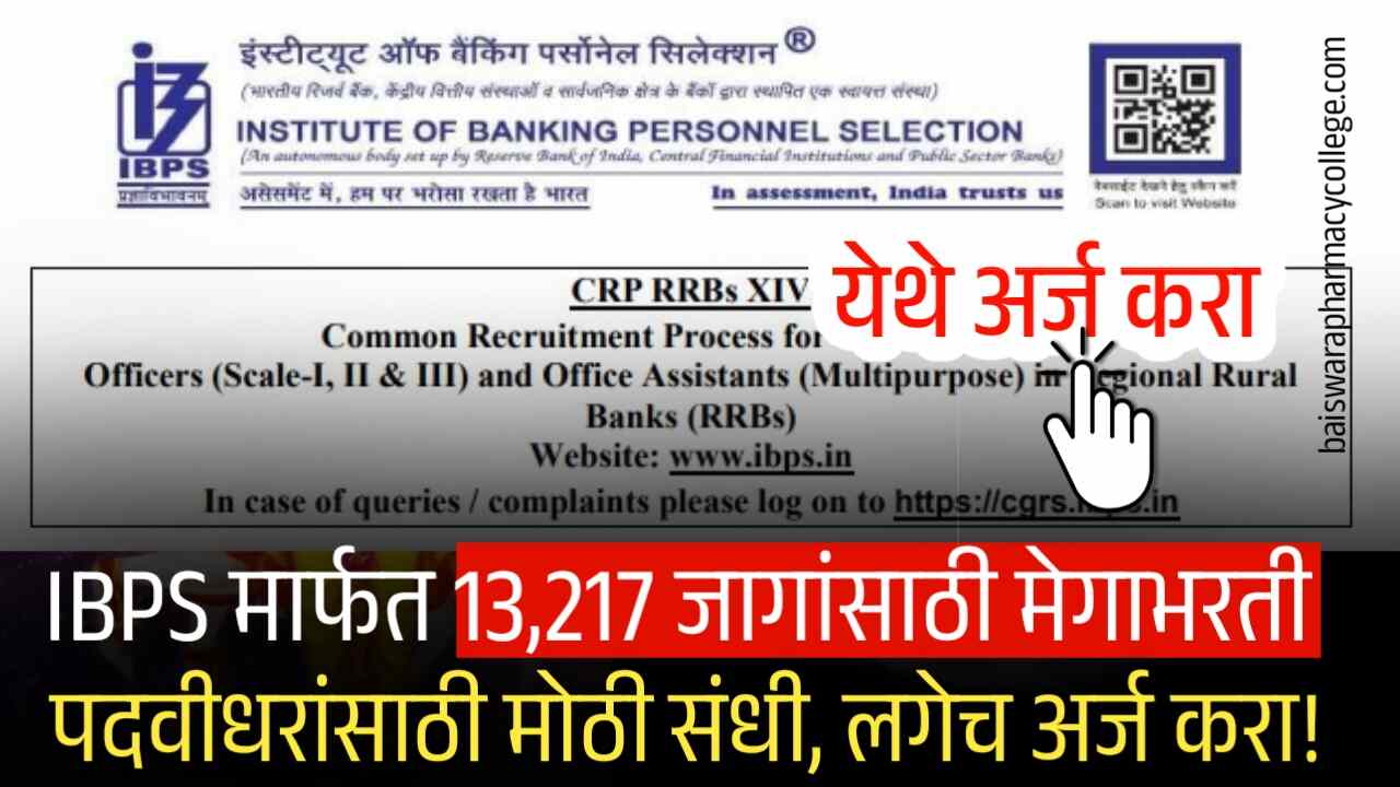 IBPS मार्फत 13,217 जागांसाठी मेगाभरती सुरू! पदवीधरांसाठी मोठी संधी, लगेच अर्ज करा! IBPS Recruitment 2025